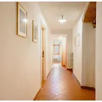 Scerfia Comfortable * Pergine Valdarno